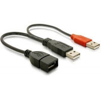 DeLOCK 65306